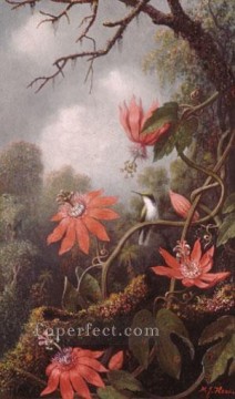 ハチドリとトケイソウ ロマンチックな花 マーティン・ジョンソン・ヘッド Oil Paintings